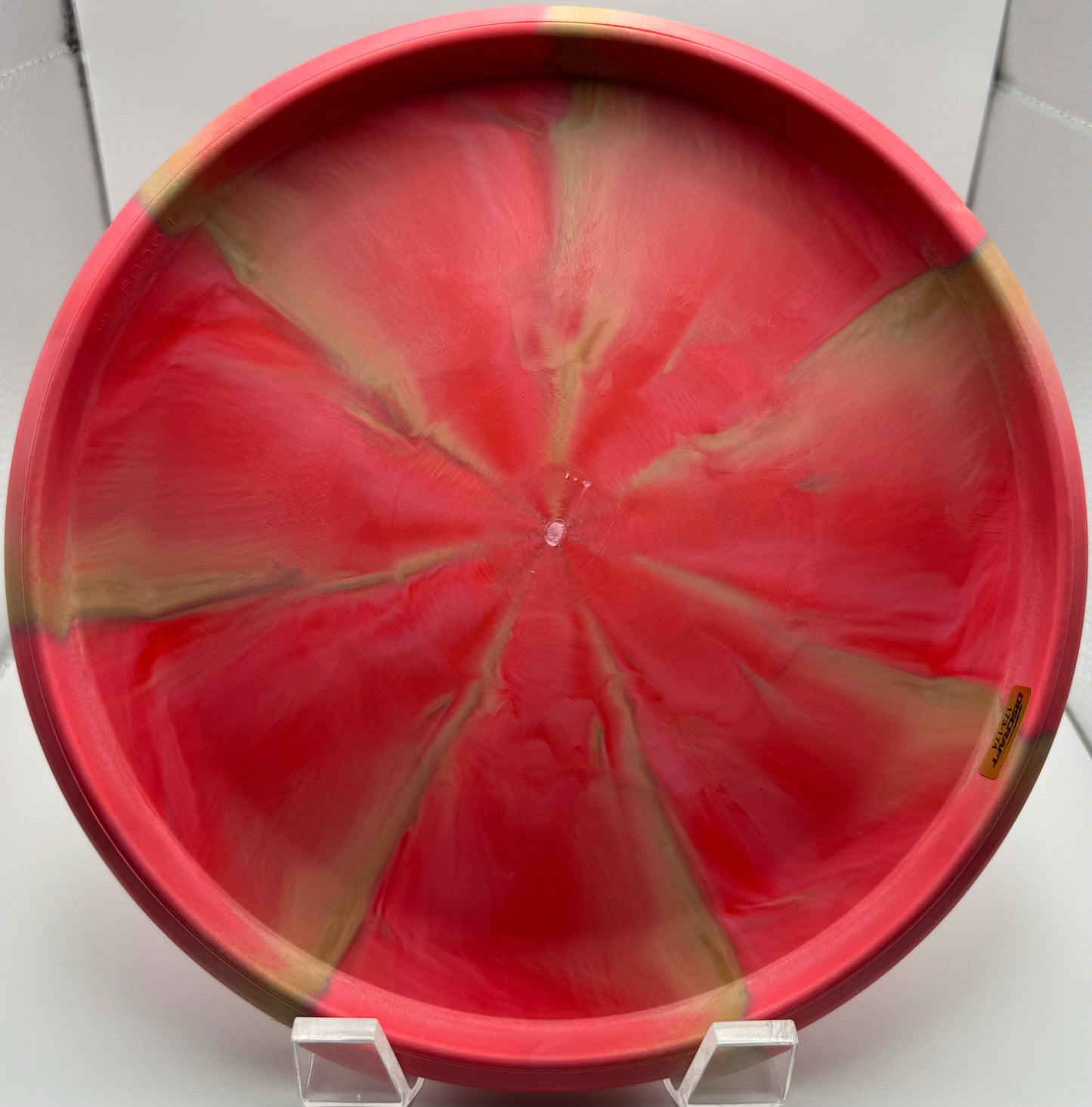 Anthony Barela Swirl Focus